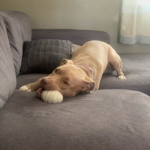 Meet your Posher, Julia